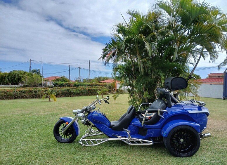 A blue three-wheeled motorcycle parked on grass with palm trees in the background. 1