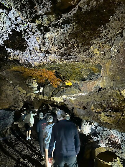 Picture 2 for Activity São Miguel: Botanical Gardens and Cave Tour 4
