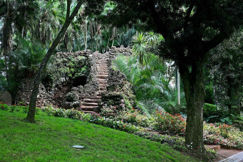 Picture 7 for Activity São Miguel: Botanical Gardens and Cave Tour 5