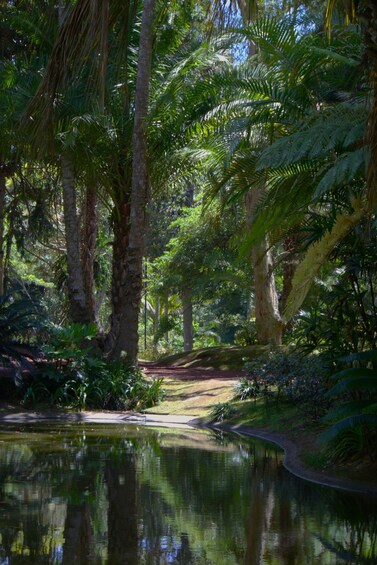 Picture 8 for Activity São Miguel: Botanical Gardens and Cave Tour 2