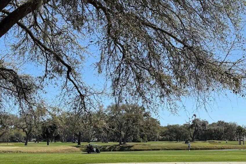 Audio Driving Tour Around St. Simons Island 2