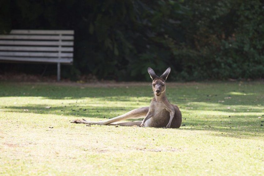 Perth Observatory Day Tours 3