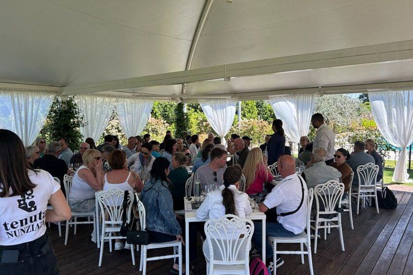 A covered outdoor dining area with white chairs and tables, surrounded by draped white fabric. 3
