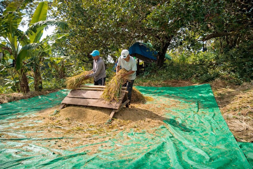 Picture 18 for Activity Lombok: Waterfalls, Village, and Farm Walking Tour 2