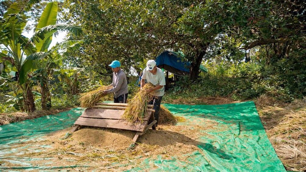 Picture 18 for Activity Lombok: Waterfalls, Village, and Farm Walking Tour 2