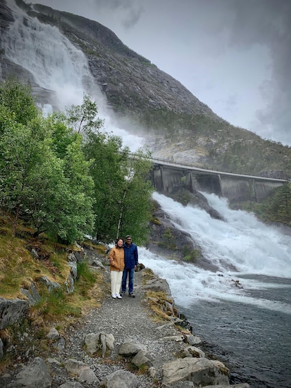 A waterfall, a bridge, and a rocky terrain with trees. 1