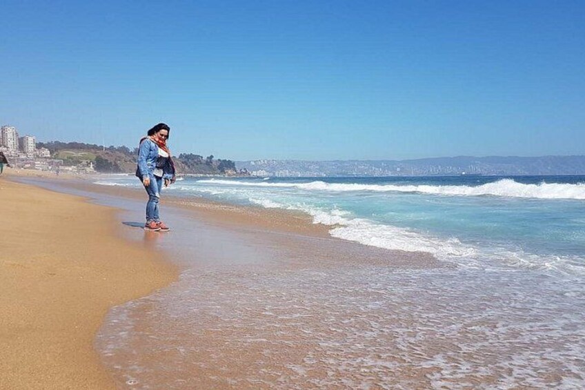A beach with a person standing on the sand, waves approaching the shore, and a clear sky. 2