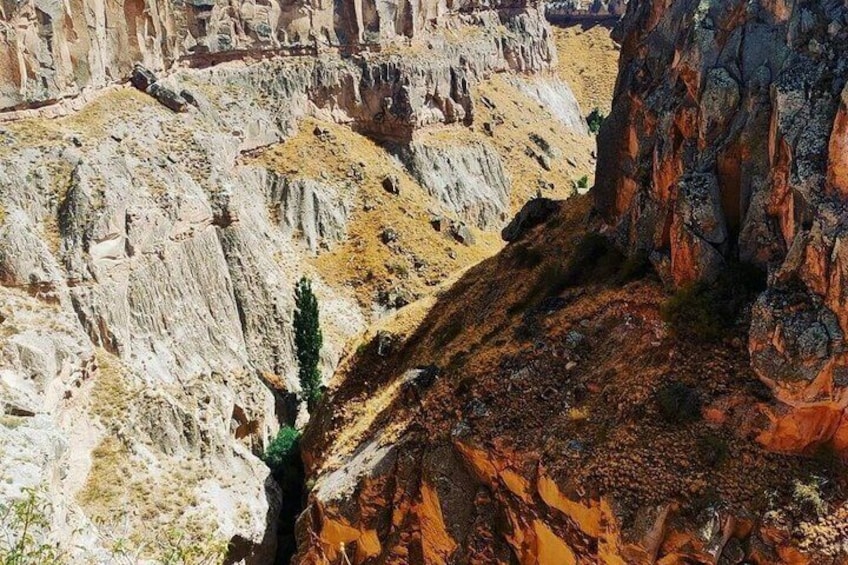 Un cañón con formaciones rocosas estratificadas y un pequeño árbol verde. 3