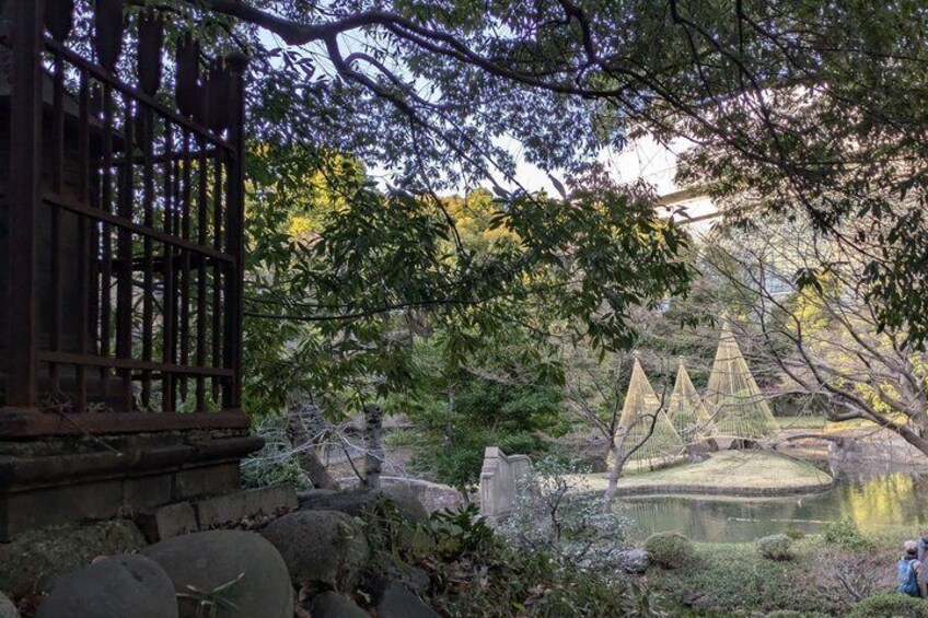 Un giardino tradizionale giapponese con cancello in legno, stagno per carpe koi e lanterne in pietra. 4