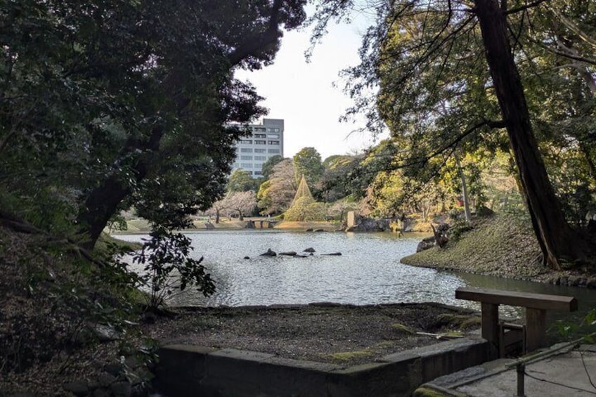 Un lago tranquillo con barche, circondato da alberi e un ponte di pietra. 5
