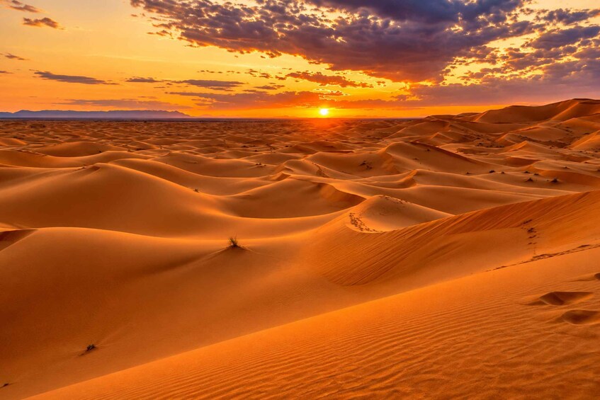 Picture 13 for Activity From Merzouga: Sunset Camel Trek & Sandboarding Adventure. 3