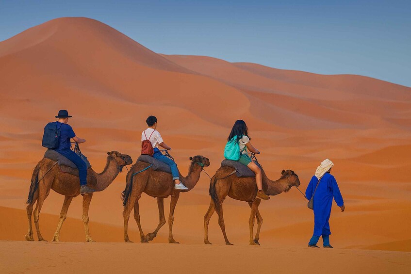 Four people riding camels across a desert landscape with sand dunes. 5