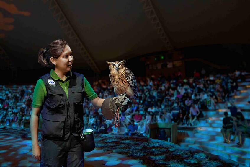 A person holding an owl in an indoor setting with a crowd. 3
