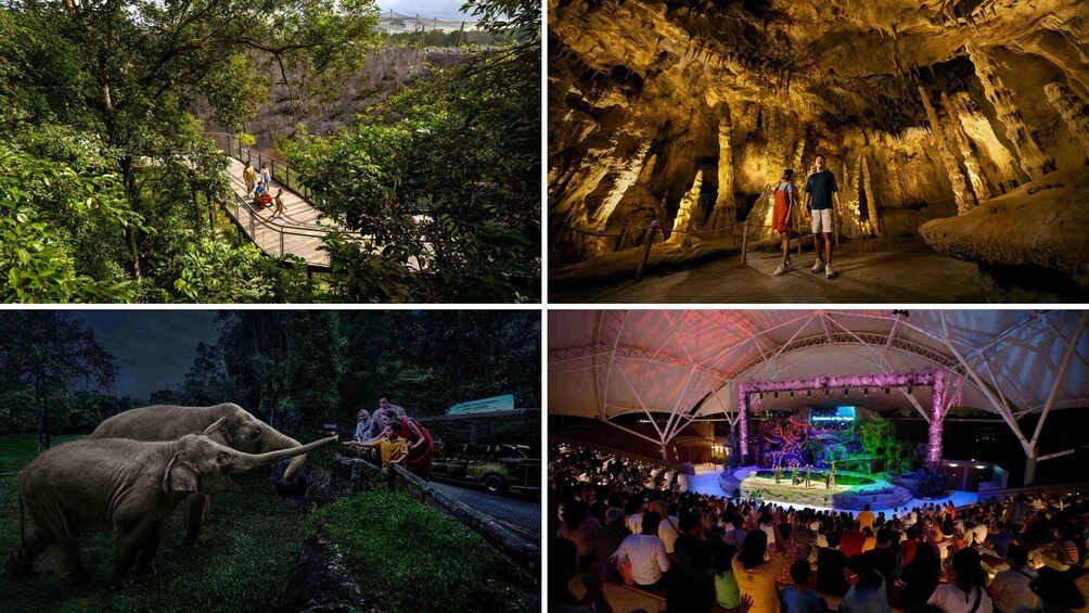 A wooden bridge, an illuminated cave, a large elephant, and a concert stage. 1