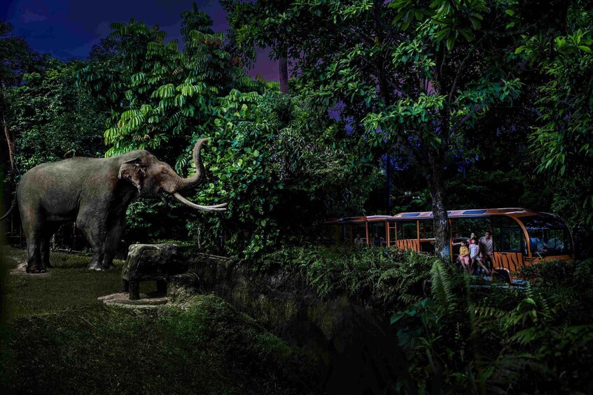 An elephant in a lush forest with a bus in the background. 2