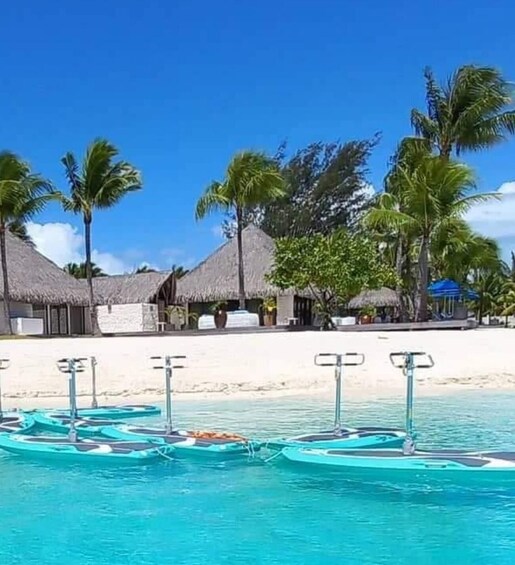A beach with thatched-roof huts, palm trees, and a row of blue paddle boats. 2