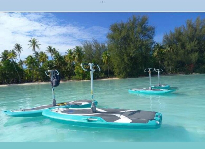 Three paddleboards on turquoise water with palm trees and a clear sky in the background. 3