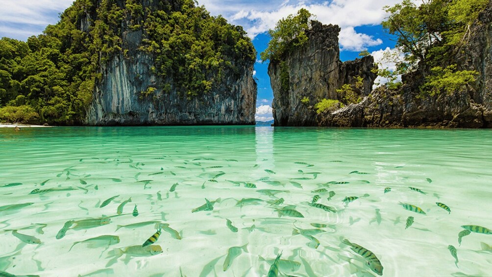 A clear turquoise sea with numerous fish, surrounded by rocky cliffs and lush greenery. 3