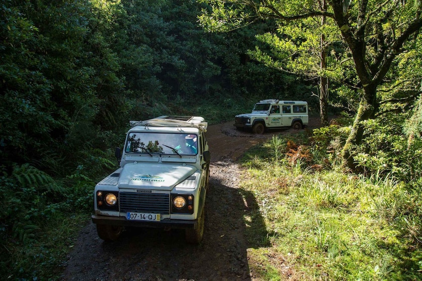 A white off-road vehicle on a dirt path surrounded by dense forest. 5