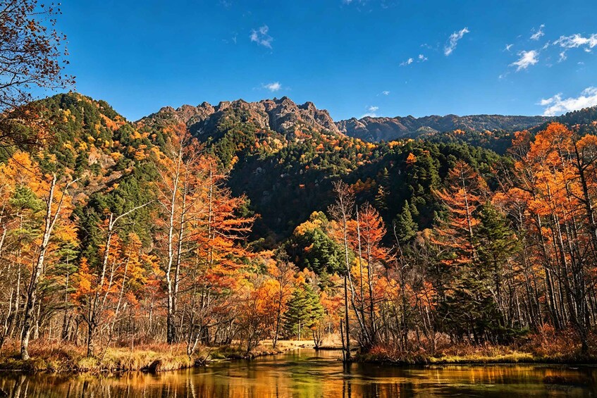 Picture 13 for Activity Nagoya Departure | Kamikochi Hiking Day Trip 2