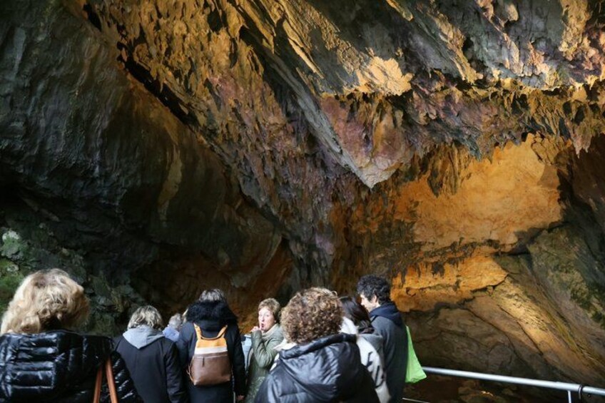 Un grupo de personas dentro de una cueva con paredes rocosas y una barandilla de metal. 4
