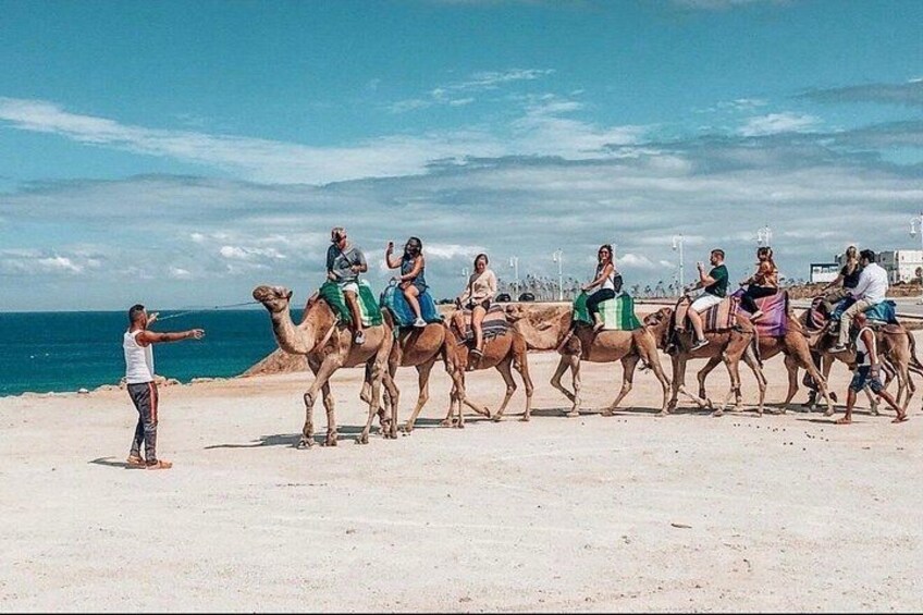 En grupp människor som rider på kameler på en strand med havet i bakgrunden. 2