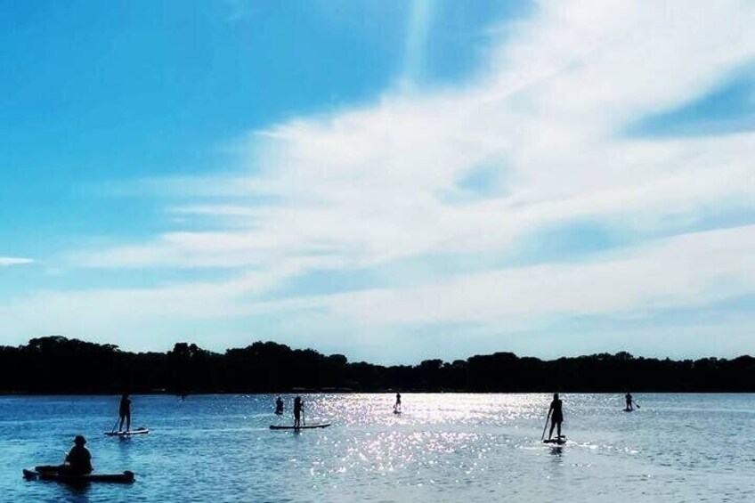 People paddleboarding on a calm body of water with a clear sky. 3