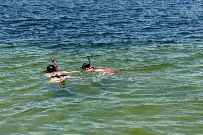 3 Hour Private Shell Island Dolphin and Snorkeling Tour 4