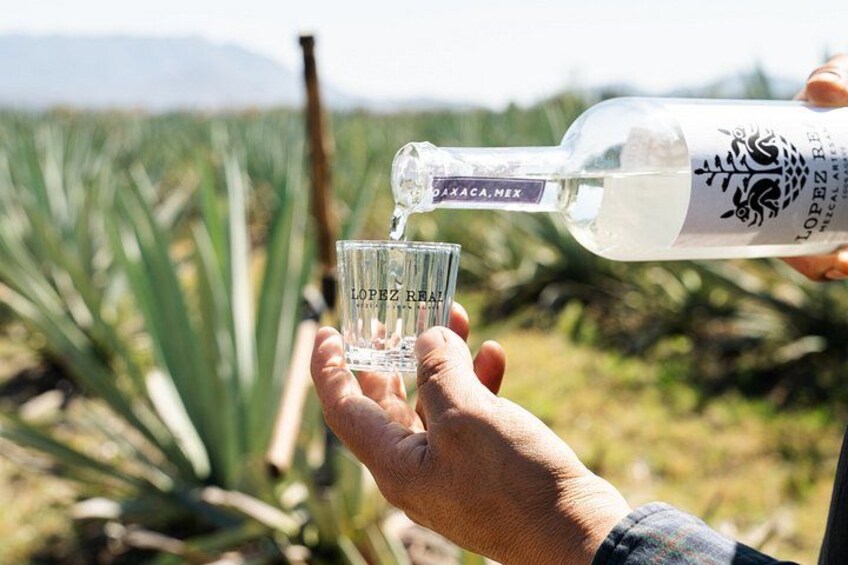 A person pouring a clear liquid from a bottle into a glass. 2