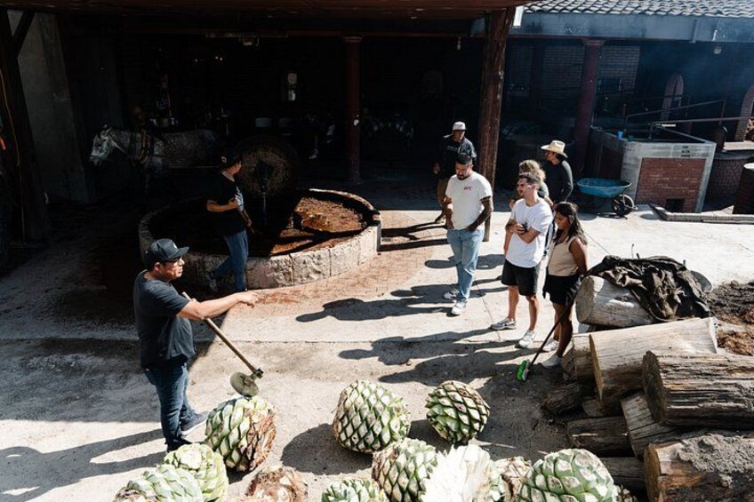 A group of people outdoors, some carrying tools, near large pineapples and logs, with a building in the background. 4