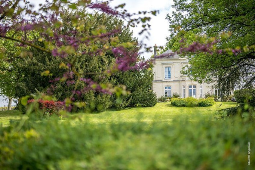 A large, classical-style building with a symmetrical facade, surrounded by lush greenery and flowering trees. 2