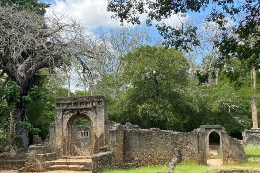 Alte Ruinen mit Steingewölben und einem großen Baum im Hintergrund. 4