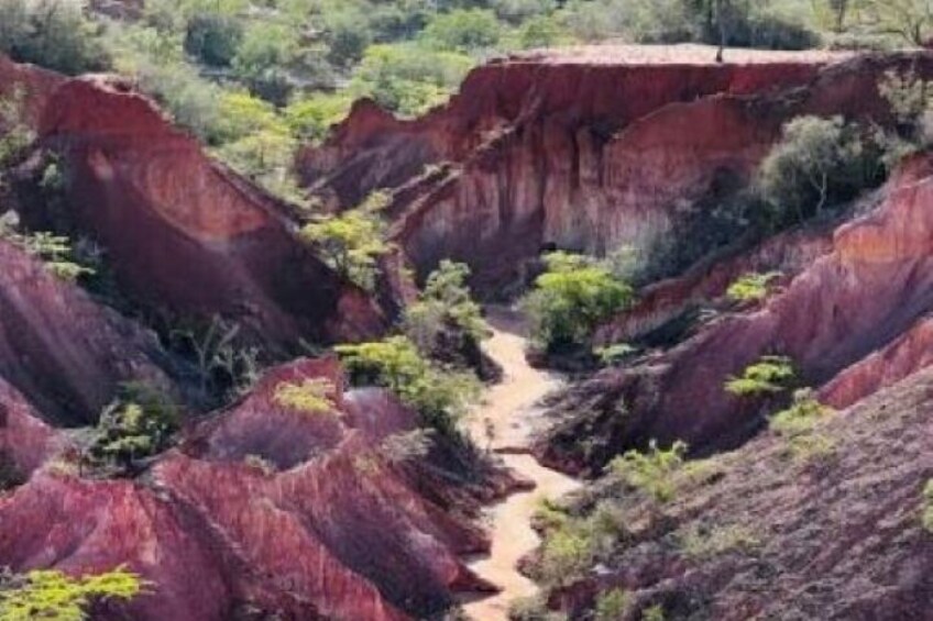 Ein Canyon mit roten Felsformationen und einem schmalen Bach. 3