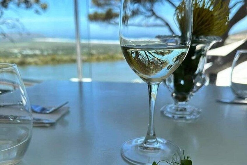 Wine and Big Cat Sanctuary Tour 5