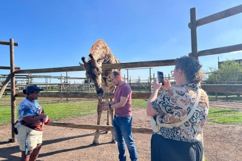 Wine and Big Cat Sanctuary Tour 1