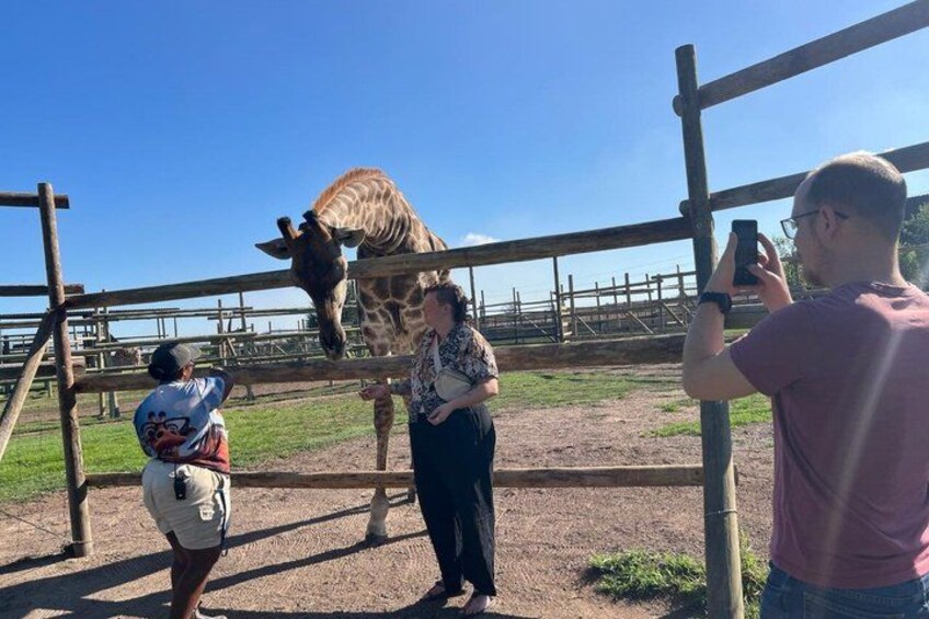 Wine and Big Cat Sanctuary Tour 3