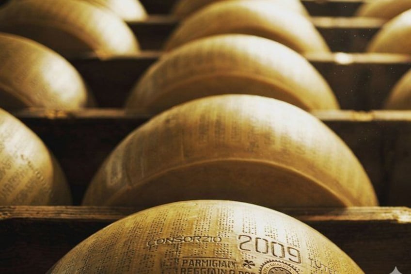 From Milk to Wheels: Parmesan Tour and Tasting in Parma 2