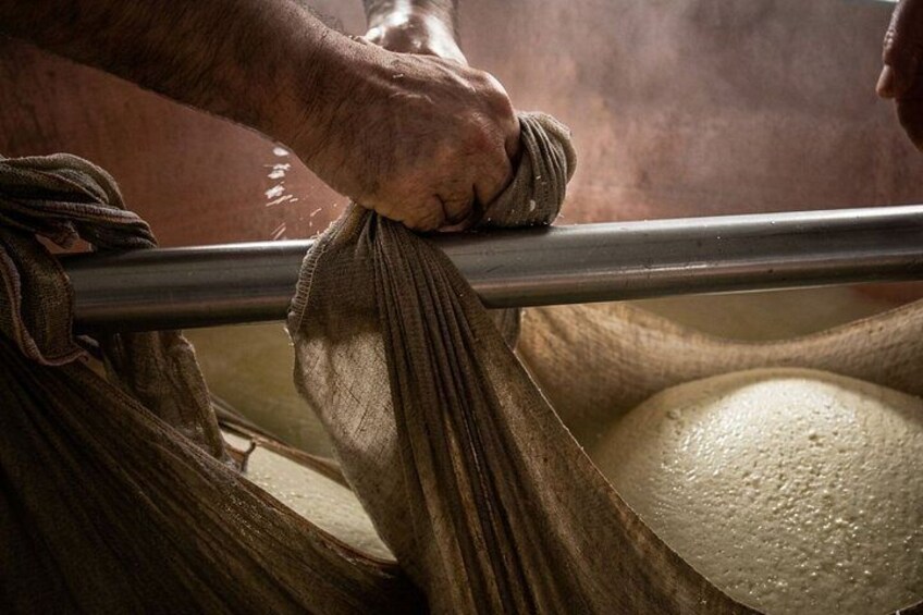 From Milk to Wheels: Parmesan Tour and Tasting in Parma 3