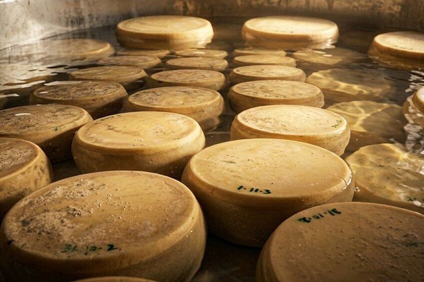 From Milk to Wheels: Parmesan Tour and Tasting in Parma 2