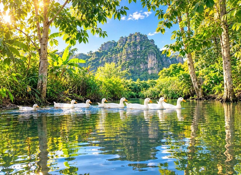 A river with swans swimming, surrounded by lush greenery and a mountainous backdrop. 4
