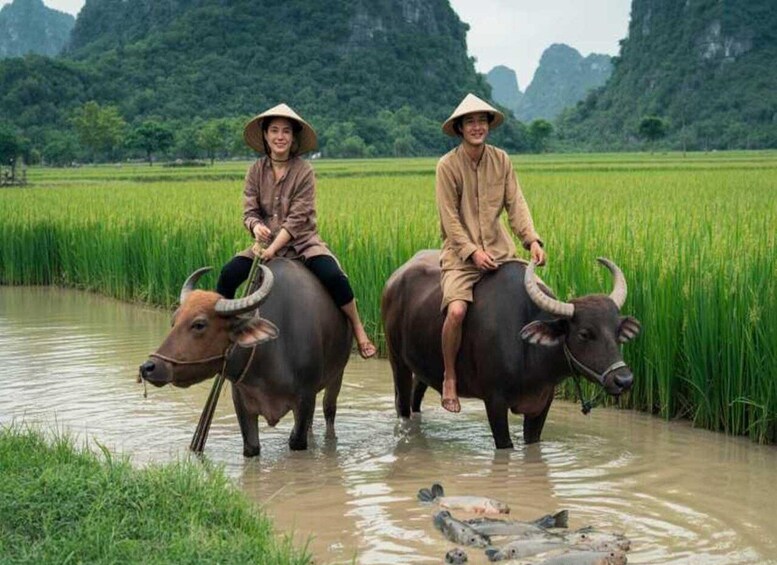 Picture 100 for Activity Ninh Binh E-bike Tour: Rural Life, Rice Field, Valley Escape 3