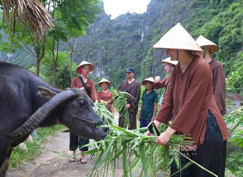 Picture 102 for Activity Ninh Binh E-bike Tour: Rural Life, Rice Field, Valley Escape 2