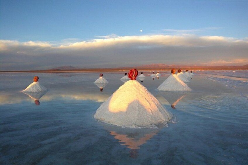 2 Days Salar de Uyuni Tour Cactus Island Hot Springs and More 1
