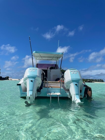 Picture 11 for Activity Anse Major: Private Full day Tour Snorkeling, Hiking & BBQ 5