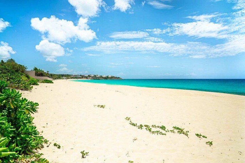 A beach with clear turquoise water, sandy shore, and scattered greenery. 2
