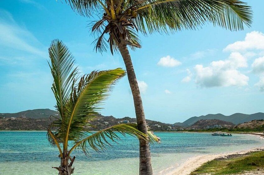 UTV St Maarten St Martin Guided Tour 2