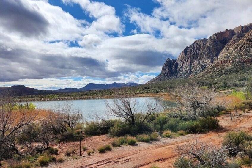 A desert landscape with a lake, sparse vegetation, and a mountain in the background. 4