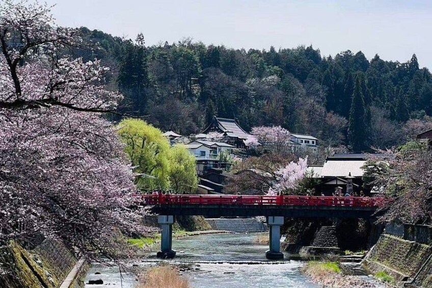 Takayama & Shirakawa-go World Heritage Day Tour from Nagoya 3