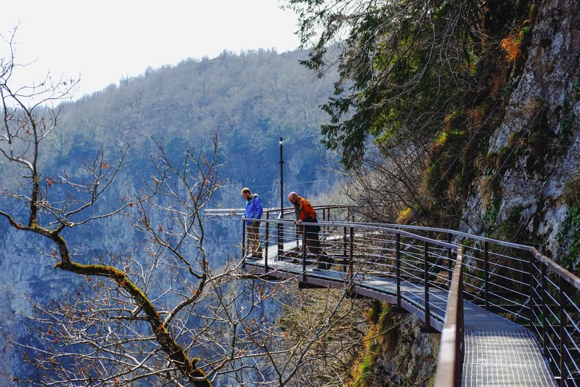 A metal bridge with railings, surrounded by trees and a mountainous backdrop. 1