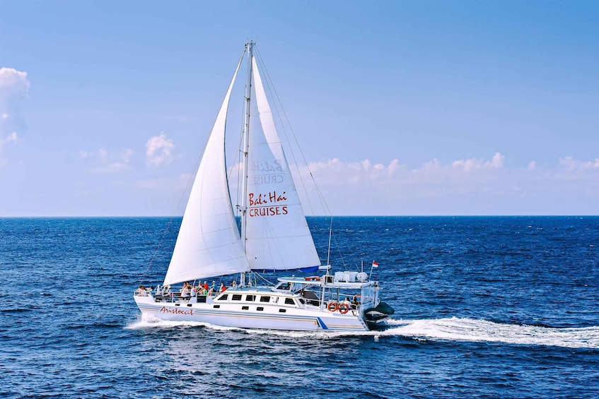A sailboat with 'Bahama Cruises' written on its sails, sailing on the ocean. 1